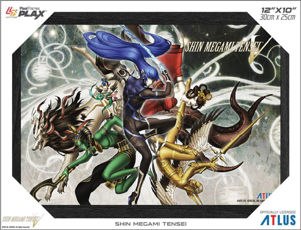 Shin Megami Tensei V Pixel 3D Framed
